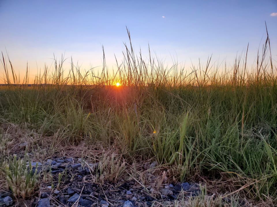marsh sunset view