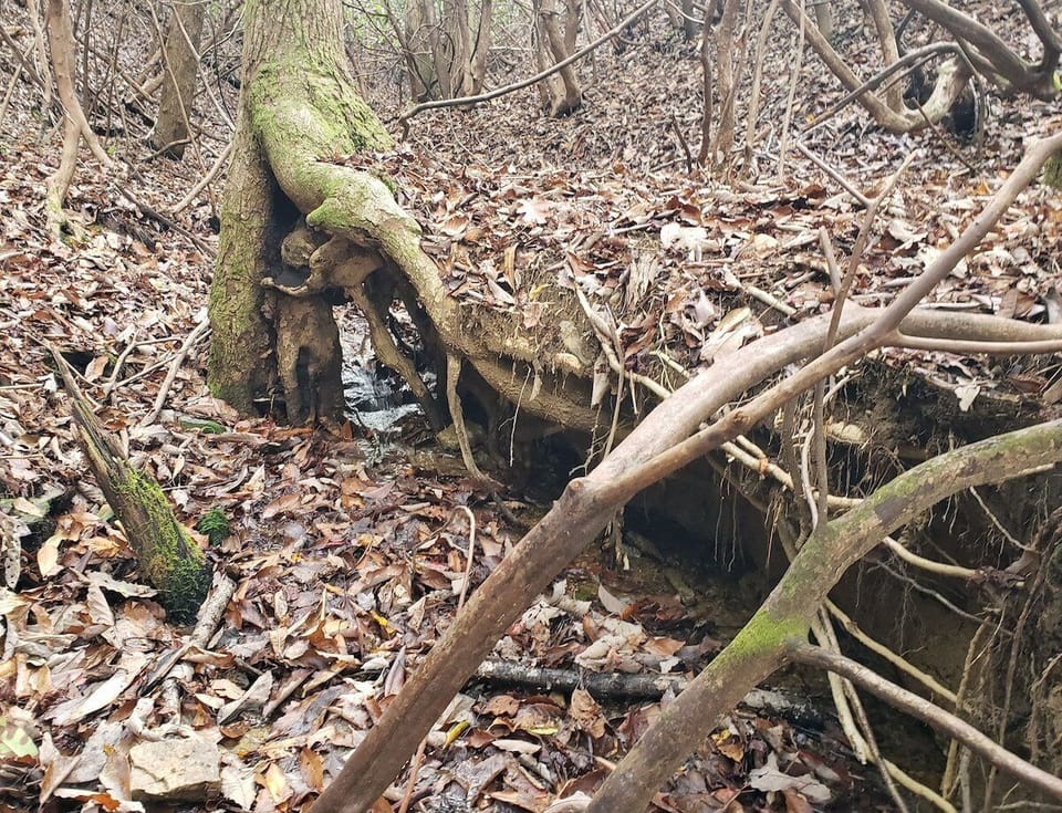 This creek is at the end of the walking trail.