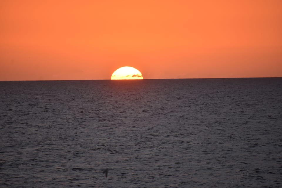 7242634f-2f4e-484a-aa8f-60e5e2e3cd65