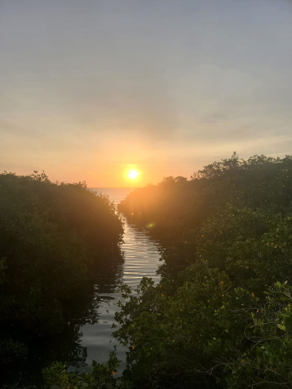 Morning walk from the bay Filipe park