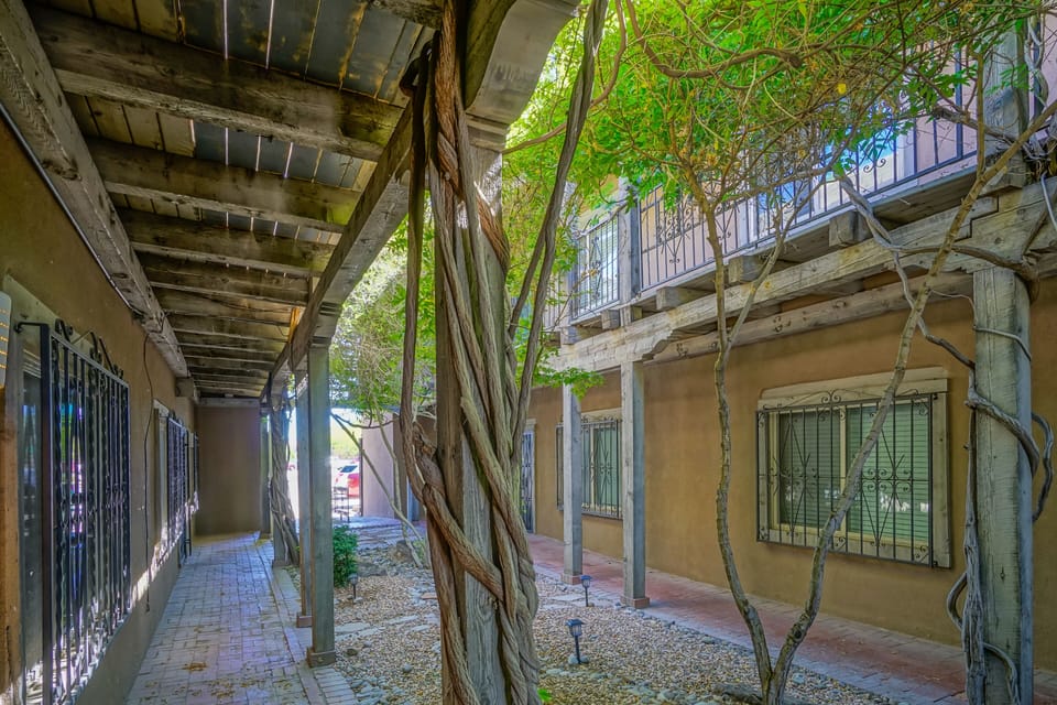 Courtyard under vines canopy