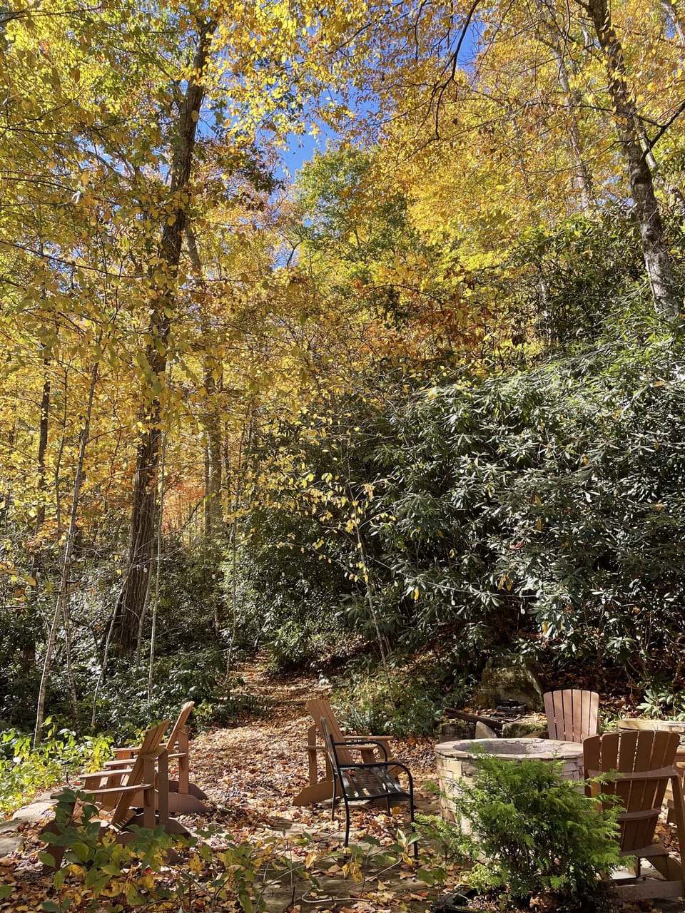 Fall at Hickory Creek is absolutely gorgeous!