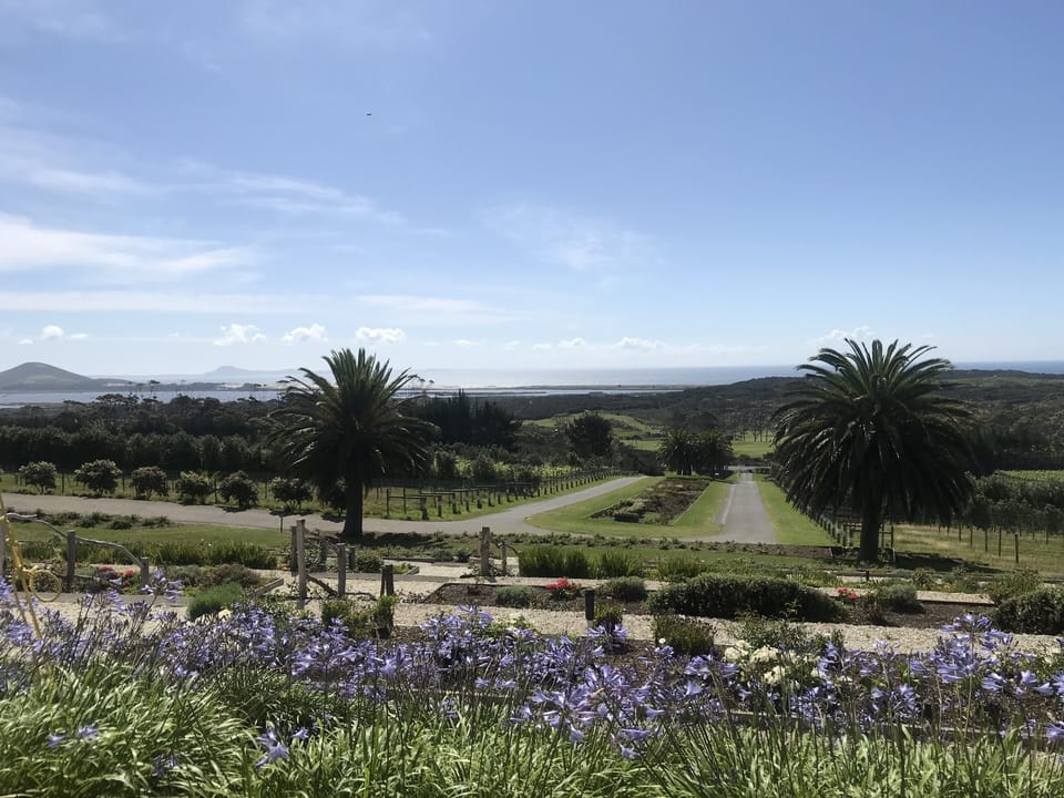 'View from Karikari Winery out to Carrington beach and up the west coast.