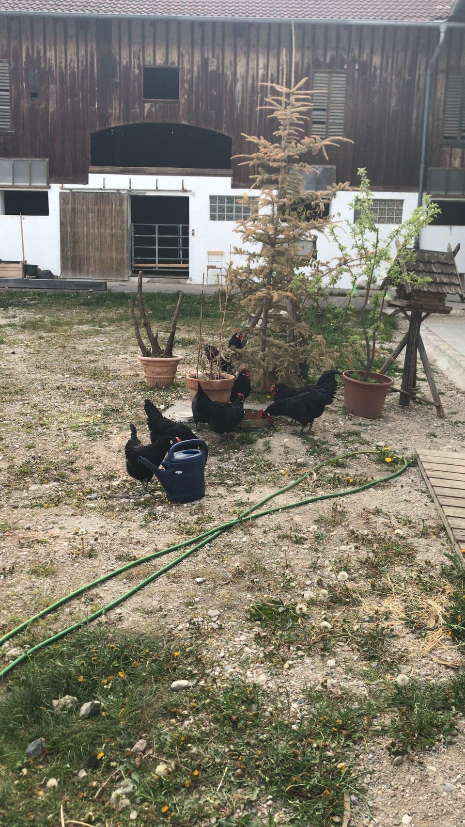 Property grounds