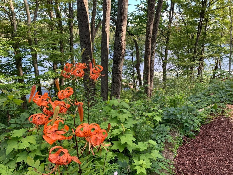 Incredible wildlife and wildflowers everywhere.