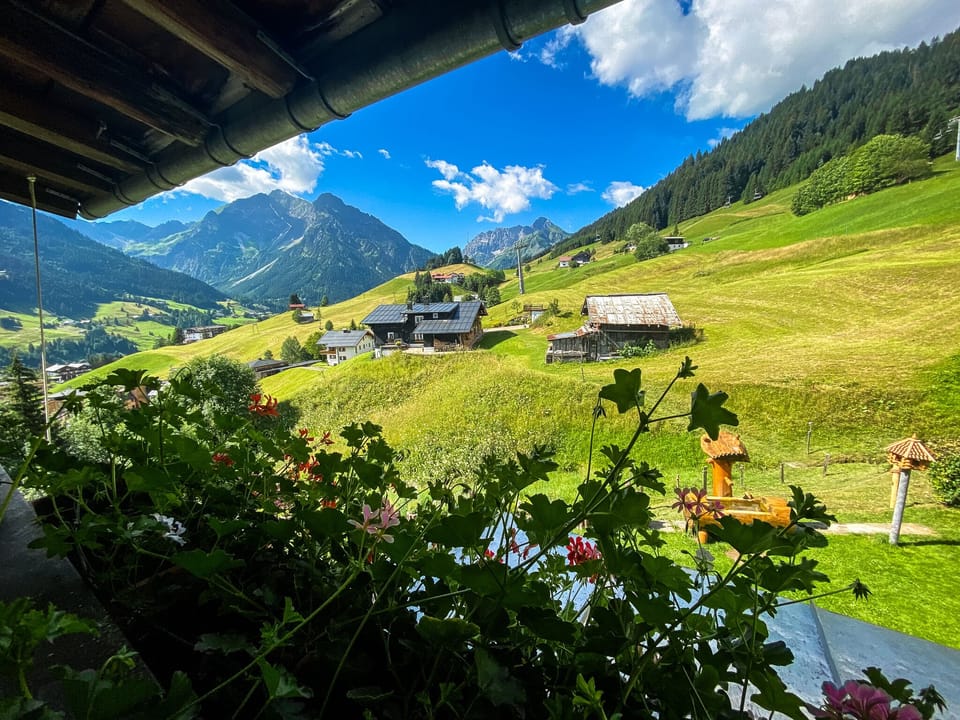 View from property