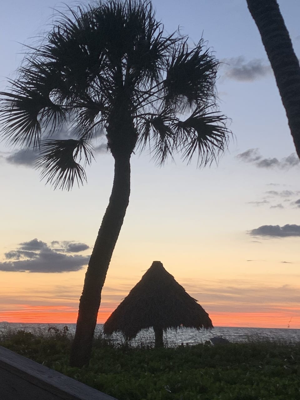 Beach/ocean view