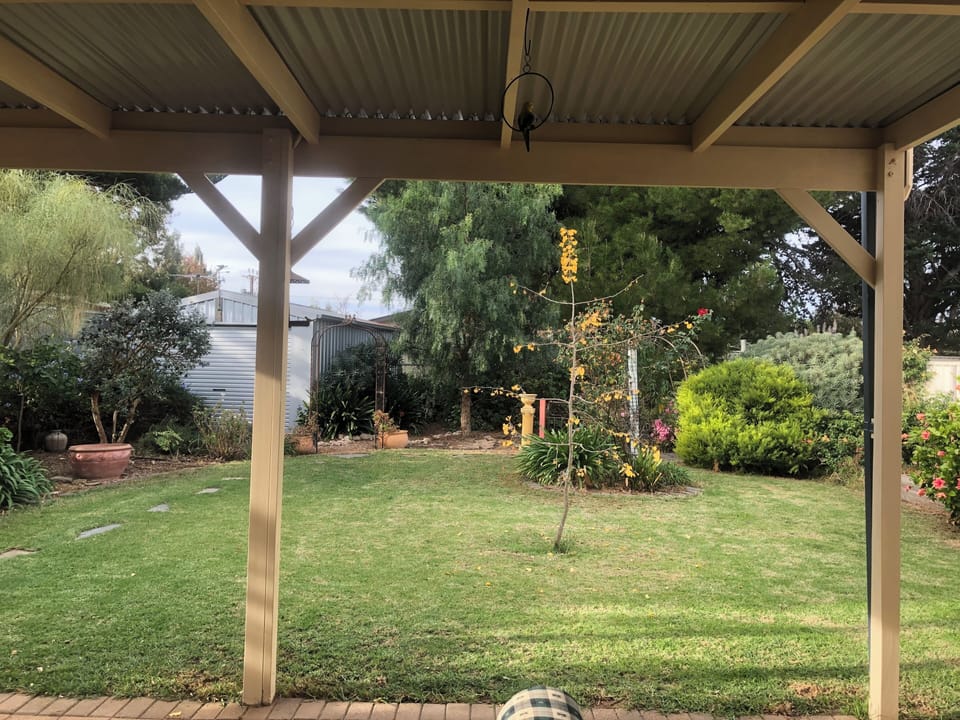 Pergola, Back Yard