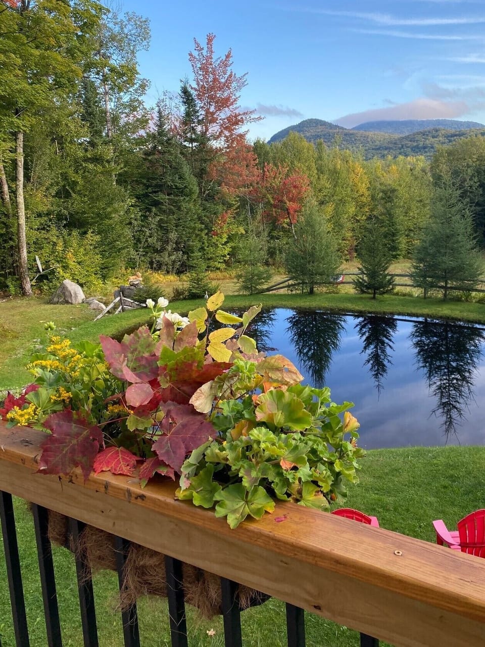 Early Fall