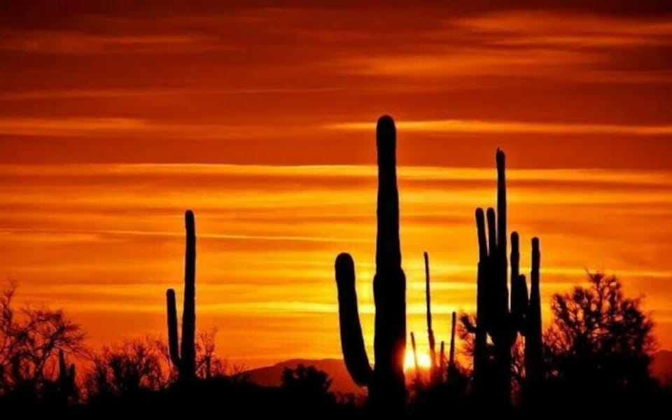 Beautiful desert sunset