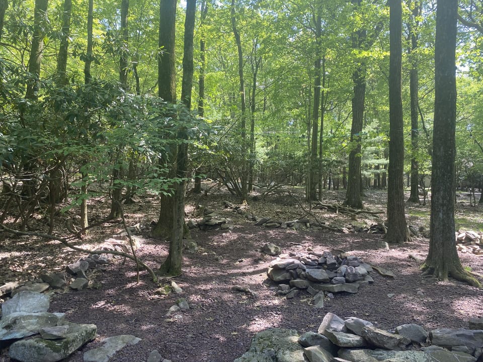 Firepit area in the backyard