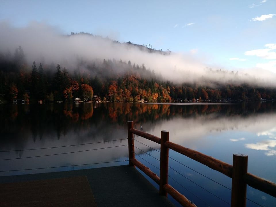 fall view- 