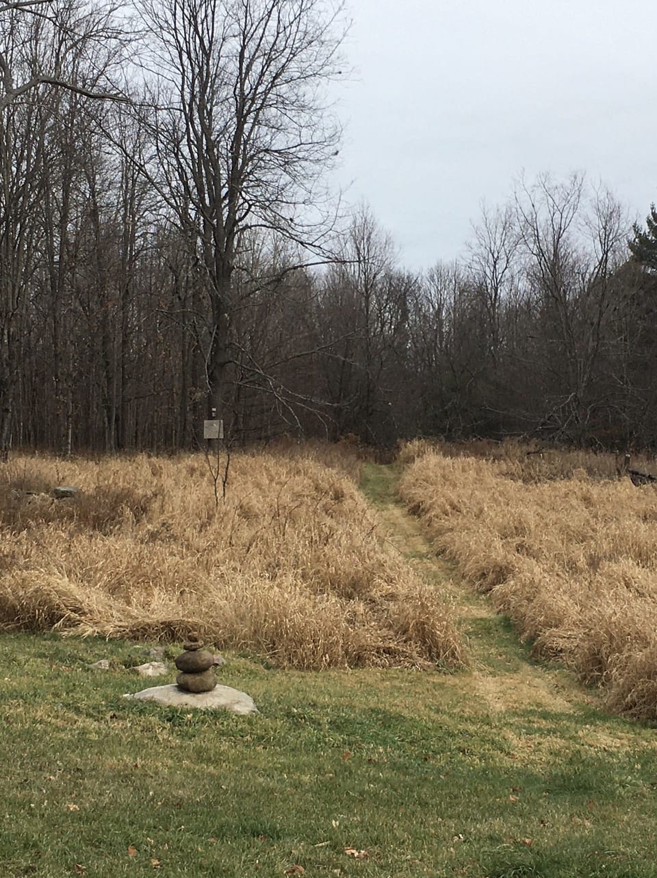 Path to the 80 acres of woods!
