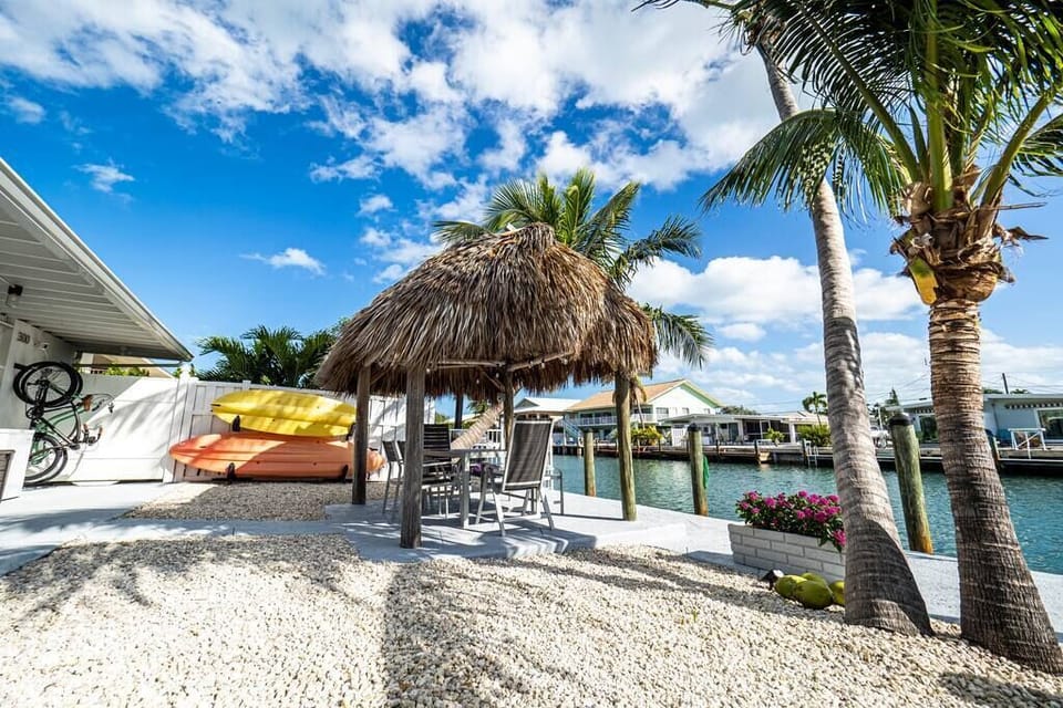 Backyard - Large and Cozy Backyard Space with Lots of Goodies (1)