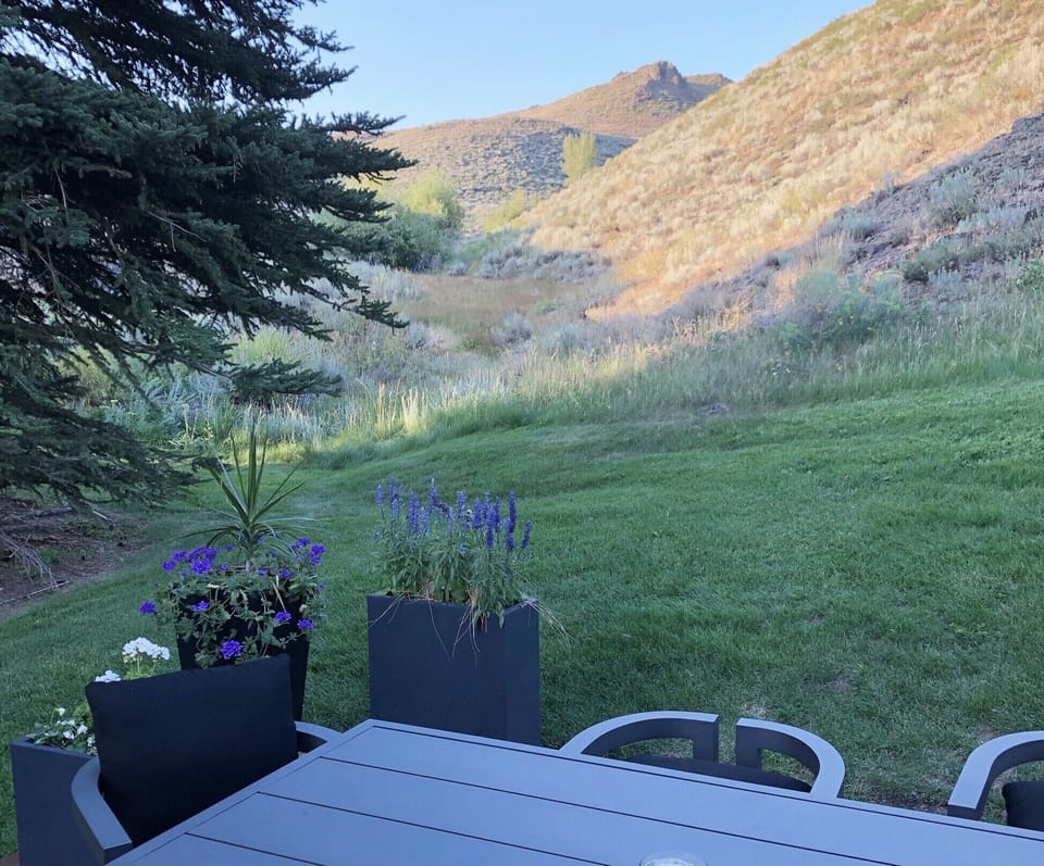 backyard view 