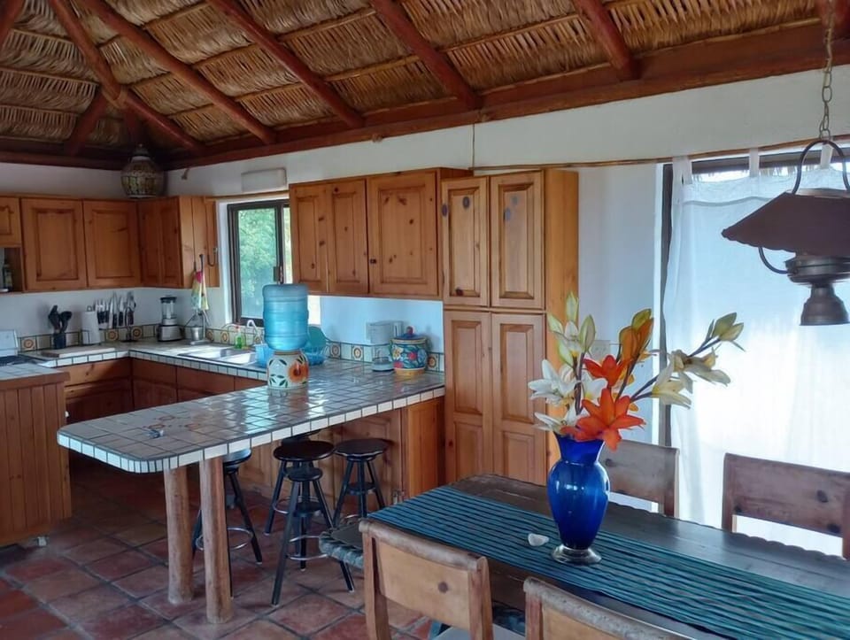 Well-equipped kitchen (2)