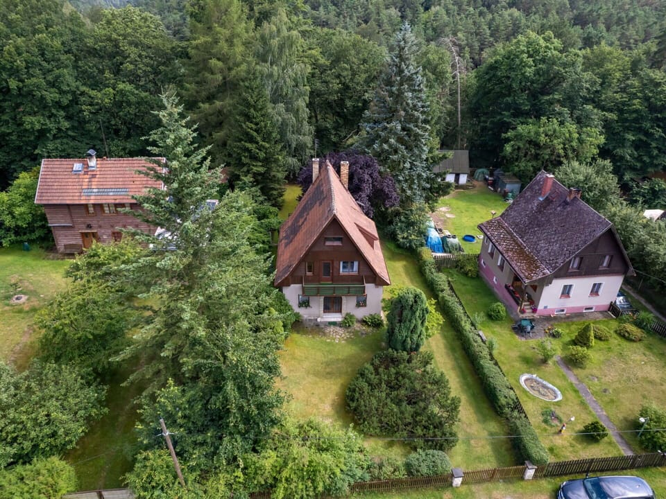 Plant, Property, Building, Window, Tree, Natural Landscape, House, Land Lot, Vegetation, Highland