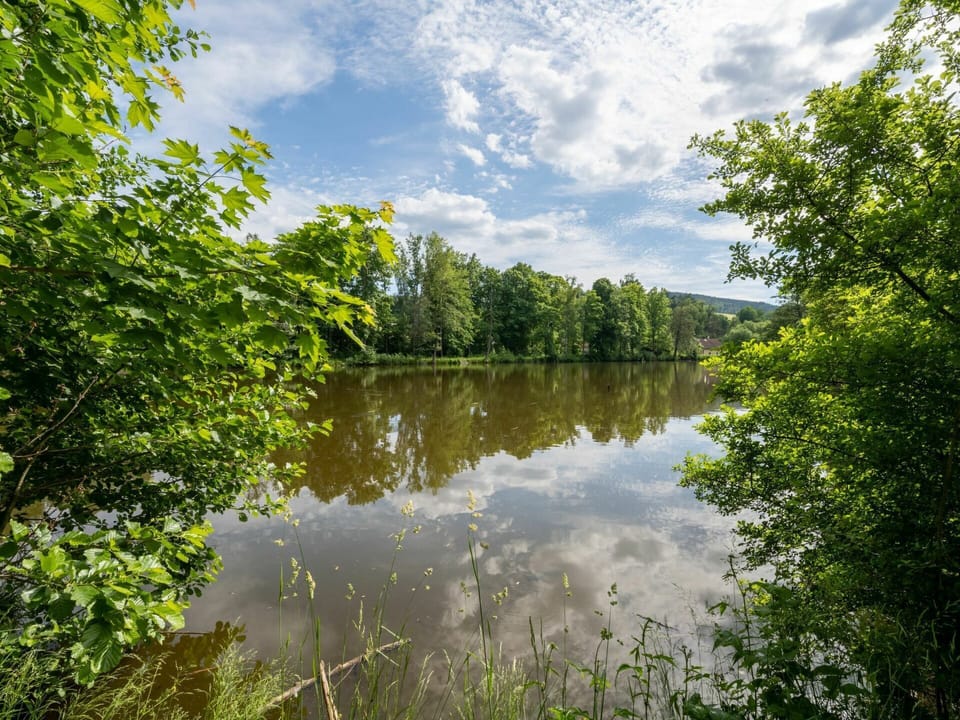 Cloud, Water, Sky, Plant, Tree, Natural Landscape, Lake, Riparian Zone