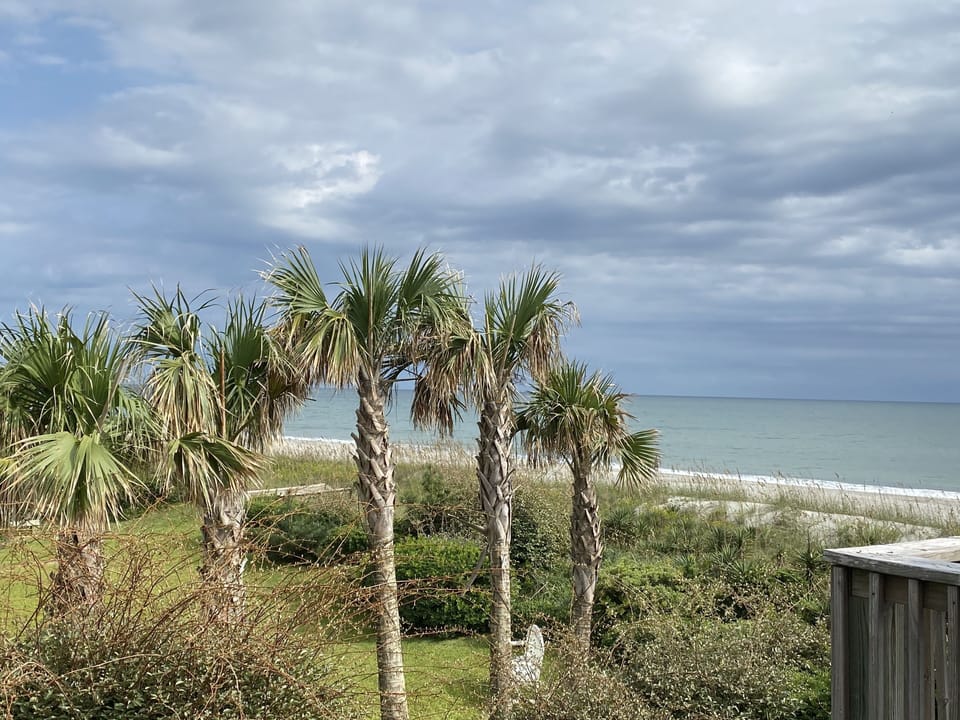 View from Master Bedroom