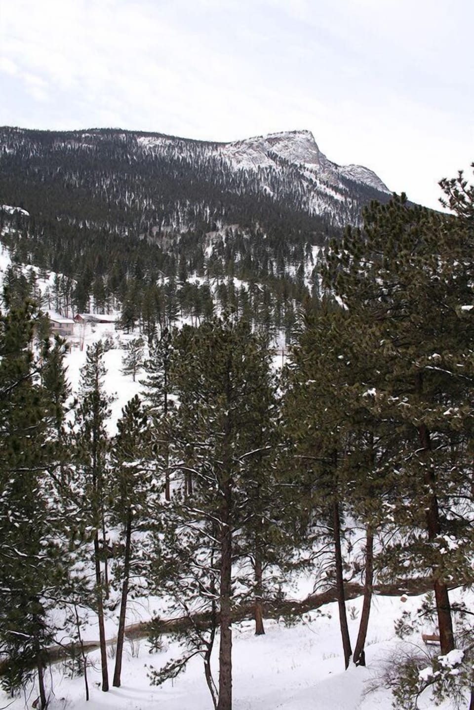 River View from Rear Deck