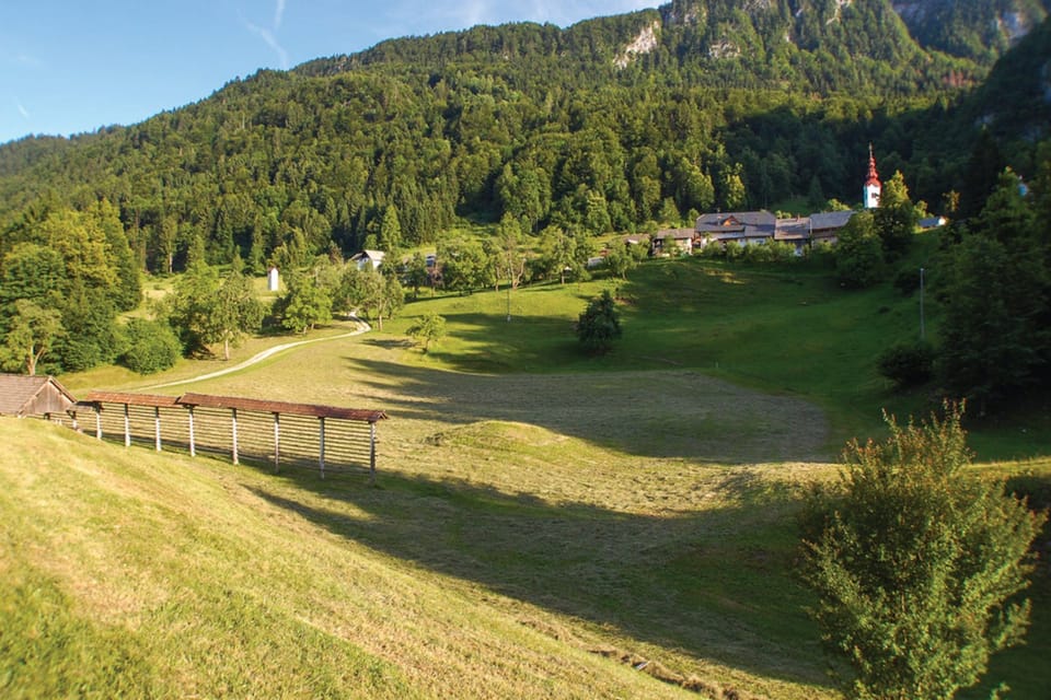 Surroundings