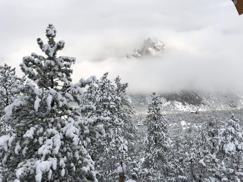 View from Deck on a snowy morning