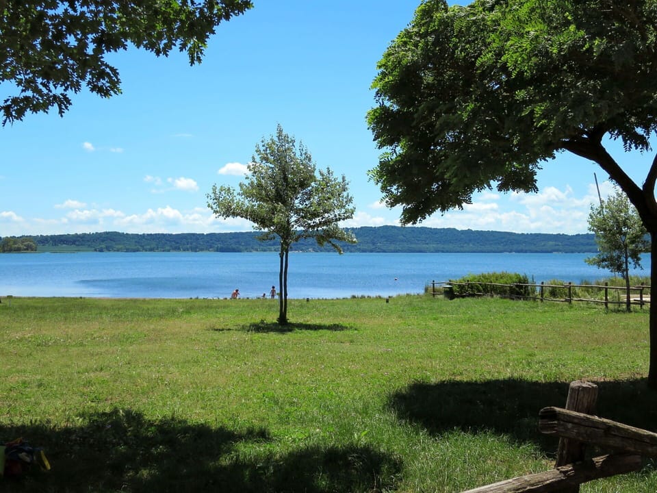 Sky, Cloud, Plant, Tree, Road Surface, Asphalt, Land Lot, House, Composite Material, Fence