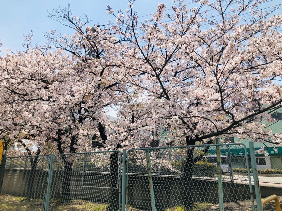 1 minute walk park (spring)