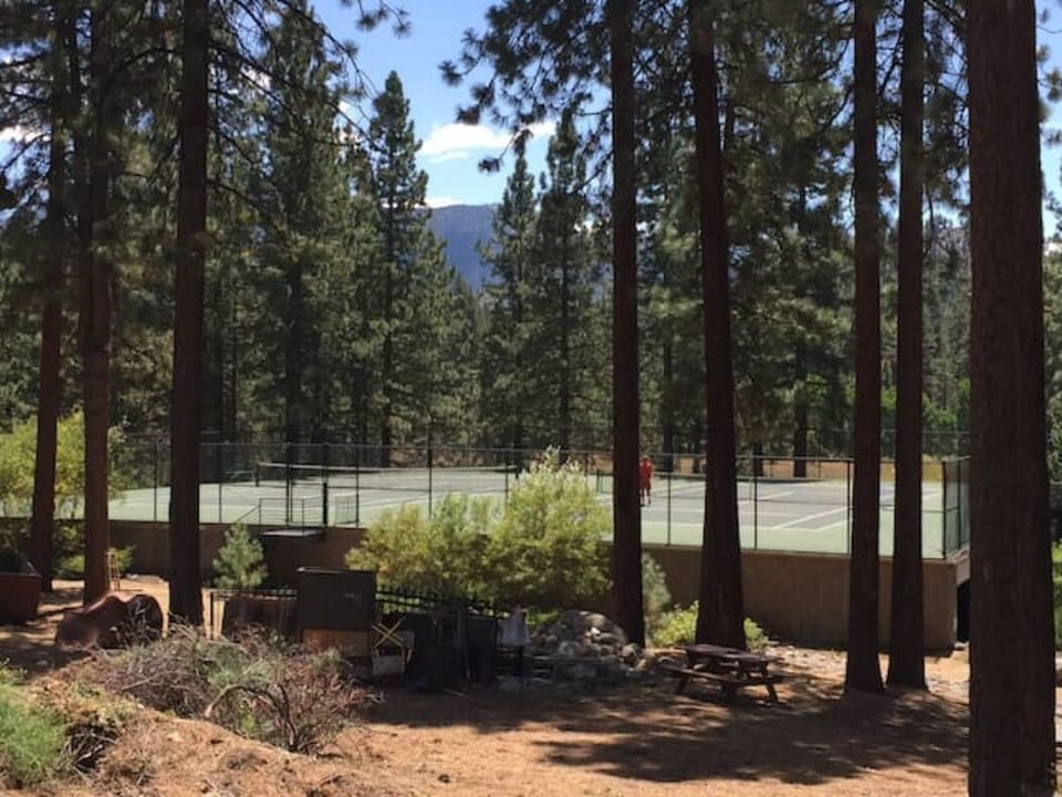 tennis courts