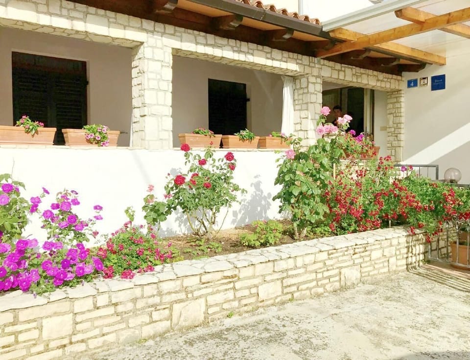 The well-kept garden with flowers of all colors attached to the terrace