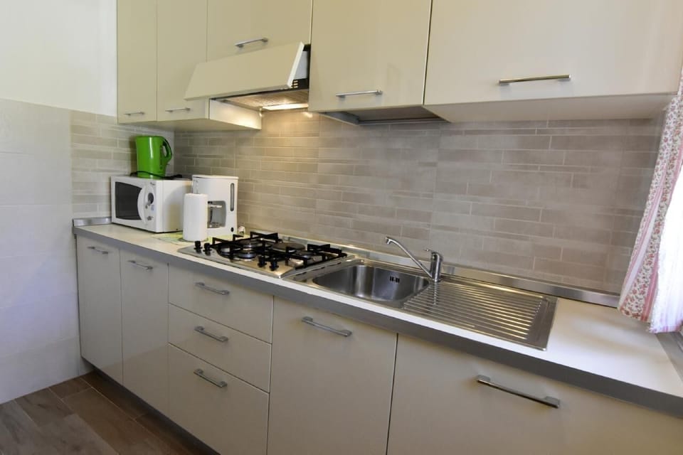 The kitchen equipped with microwave oven, extractor hood, kettle, coffee machine