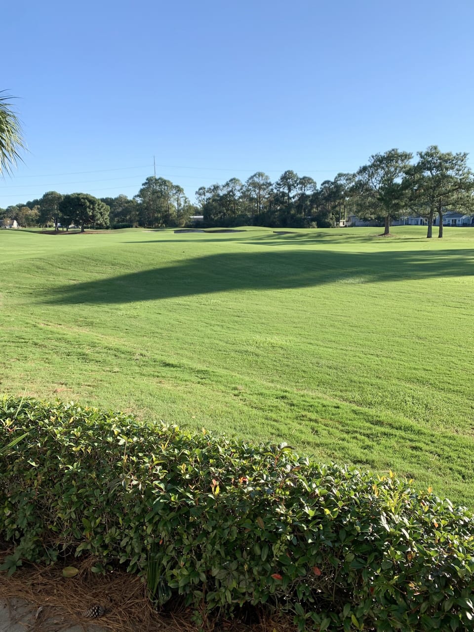 View of the Links golf course!