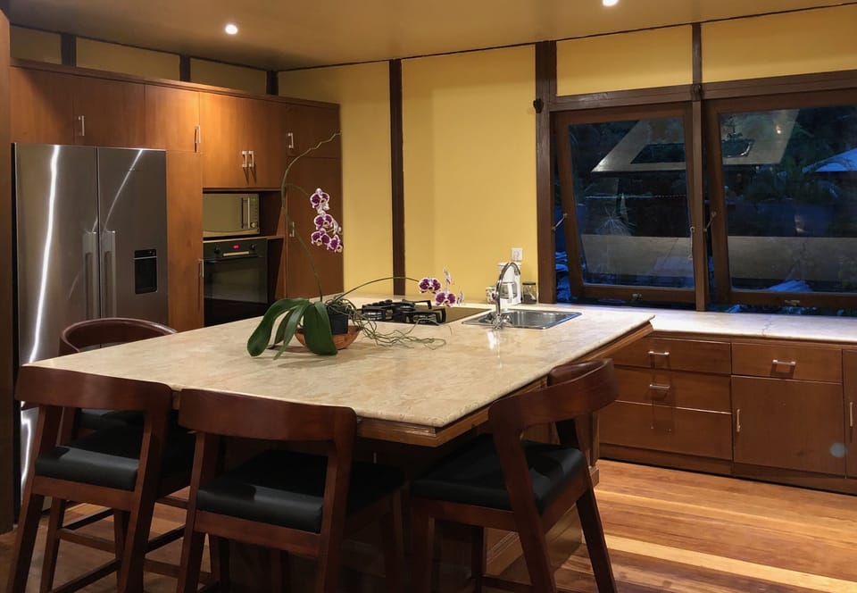 Kitchen Bar area