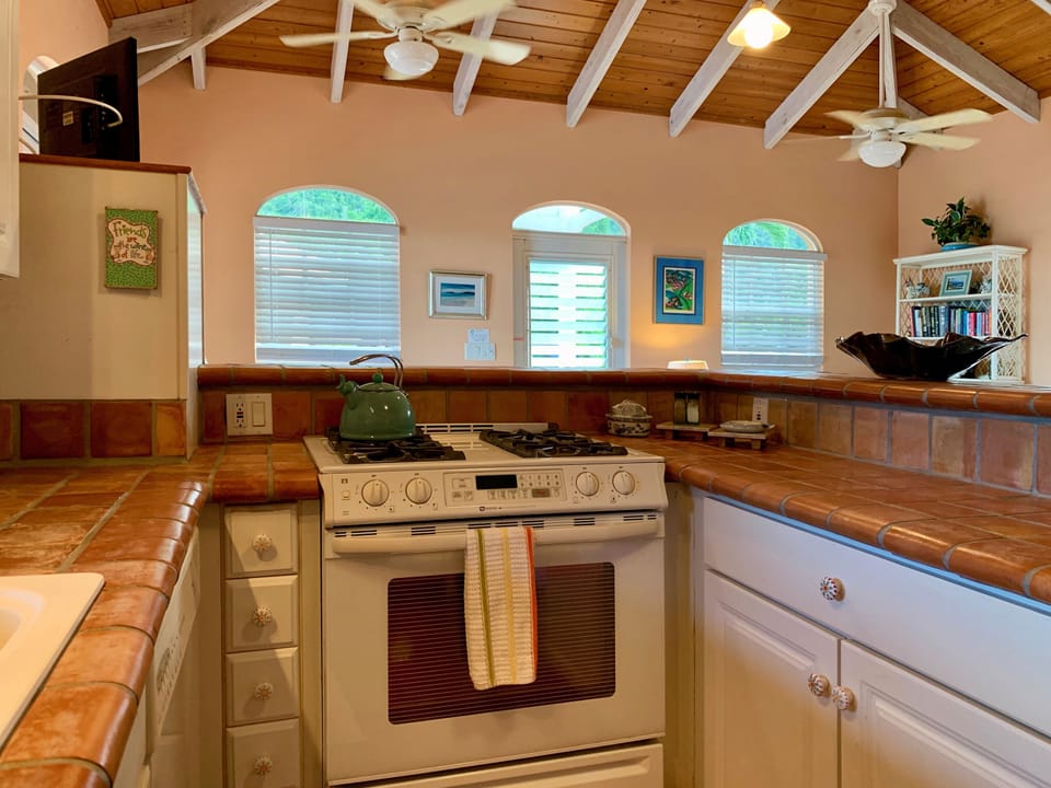 Plenty of counter space