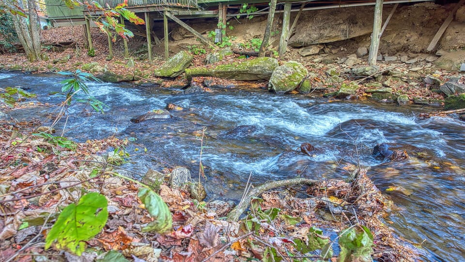 Enjoy the creek.  It is beautiful