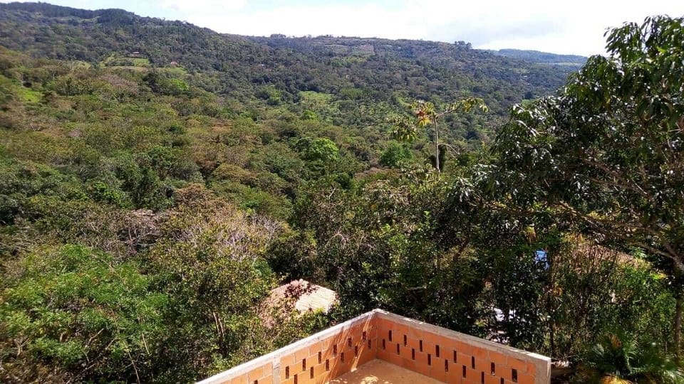 vista montaña 1