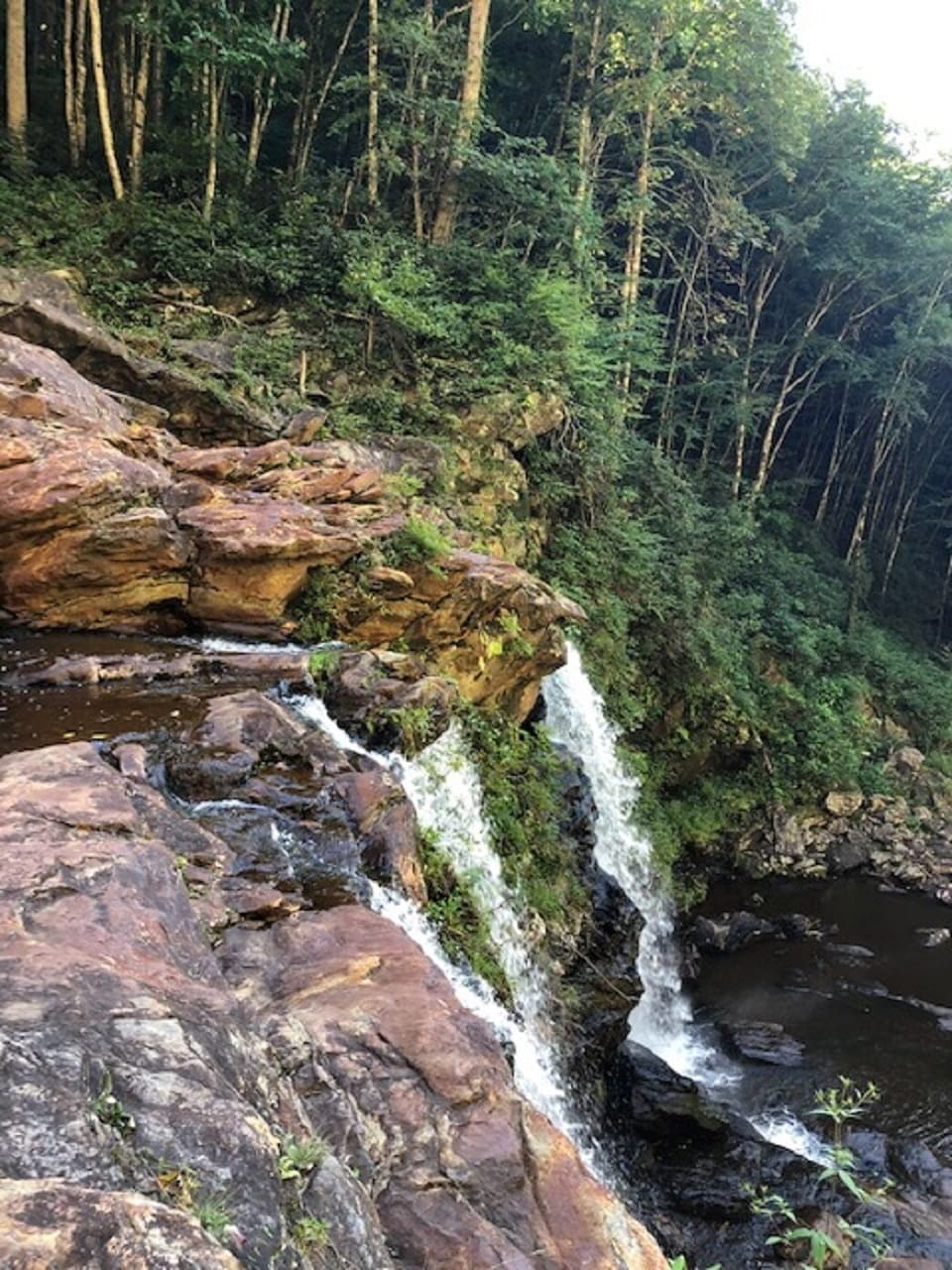 Area waterfall from hiking trail