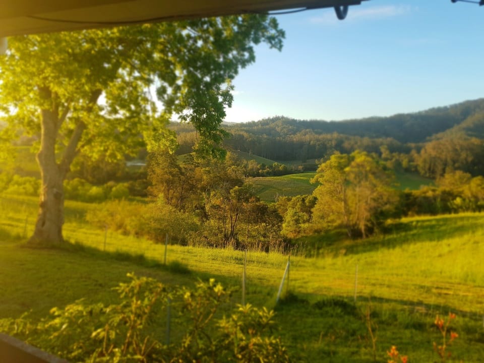 View from Farmstay Cottage balcony