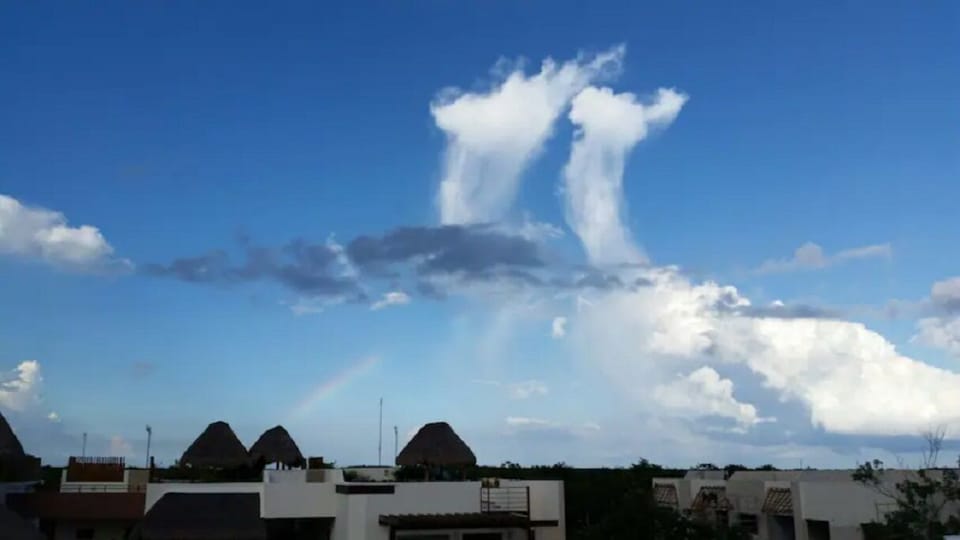 VIEW FROM ROOFTOP