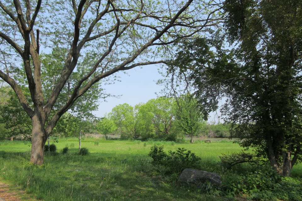 Enjoy walking the trails of the Nationally Historic Arboretum.
