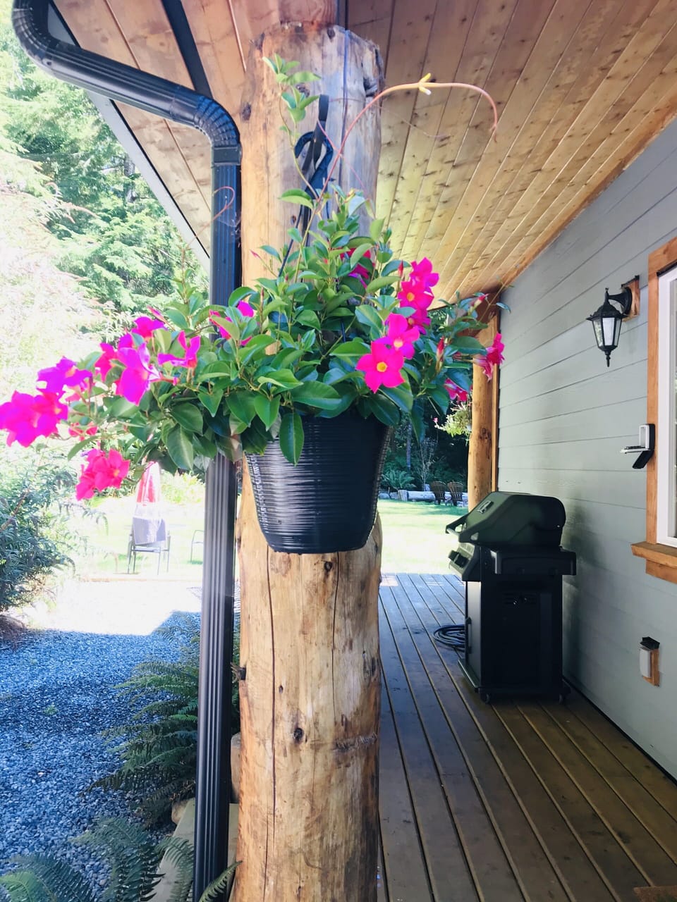 BBQ area