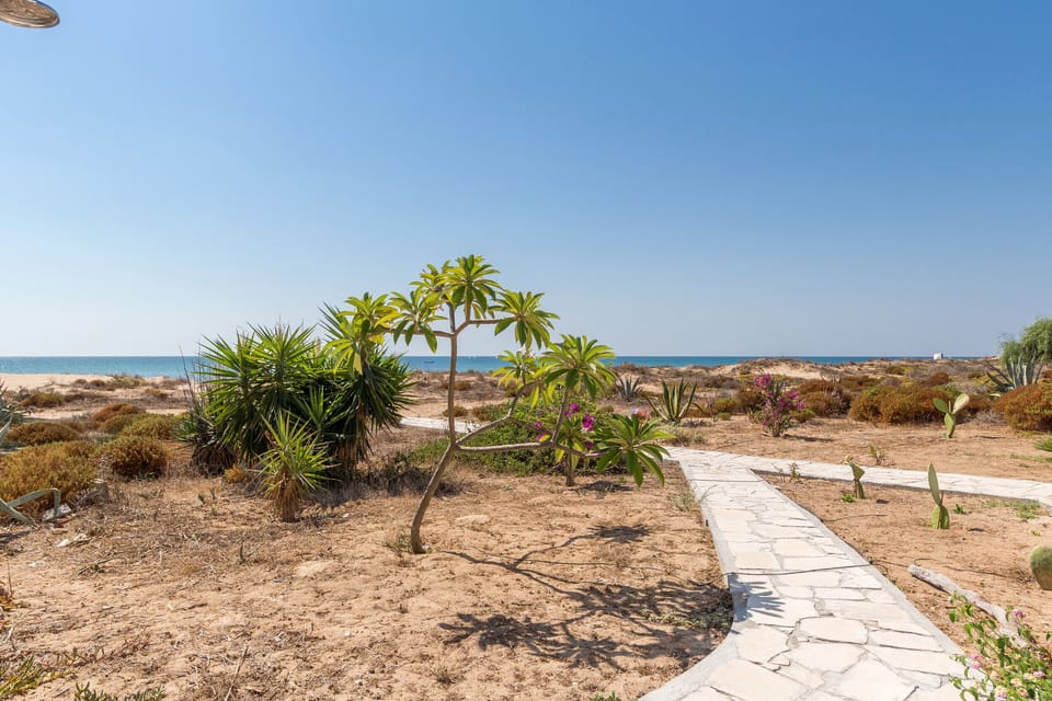 Sea view