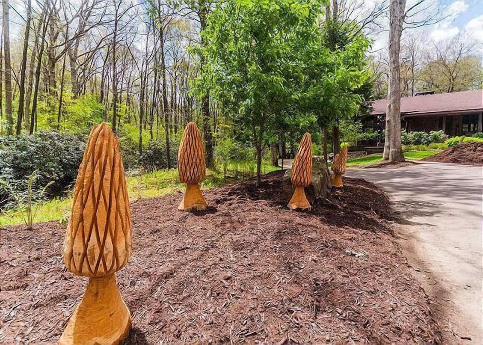 Experience the beauty of the Laurel Highlands. Book your mountain getaway today.
We offer the most unique collection of vacation homes in Laurel Highlands. From a cozy couple's getaway to a sprawling 400-acre private retreat, we have the perfect accommodations for your destination getaway.