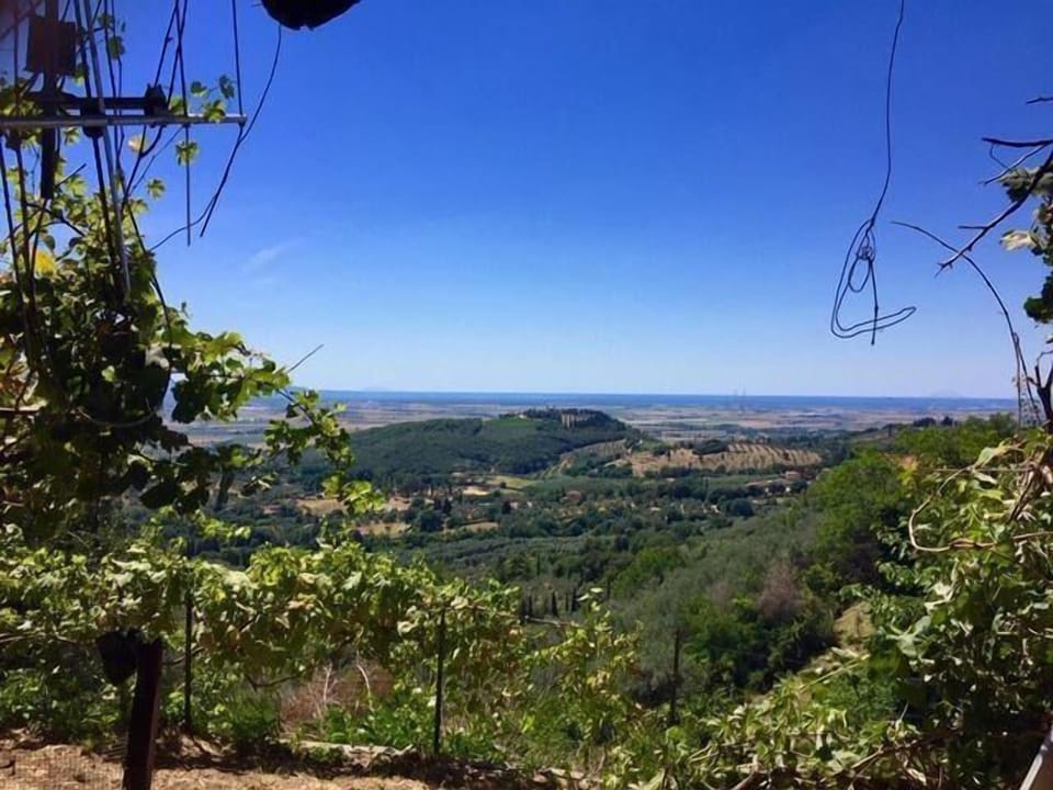 Frantoio di Campiglia Apartment in Campiglia Marittima