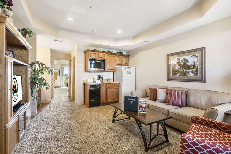 Living Room and Kitchenette