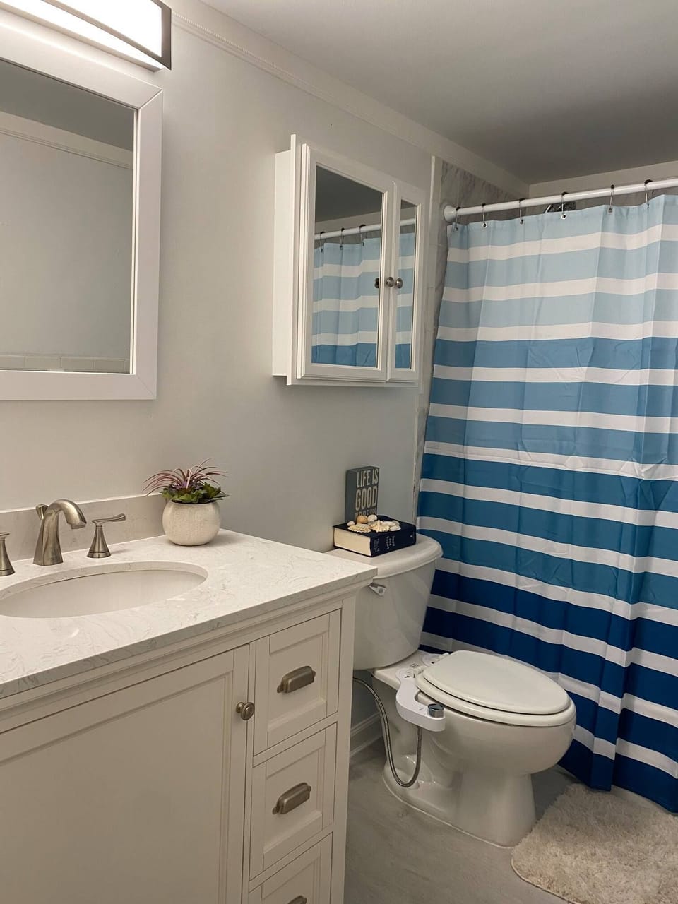 Guest bathroom