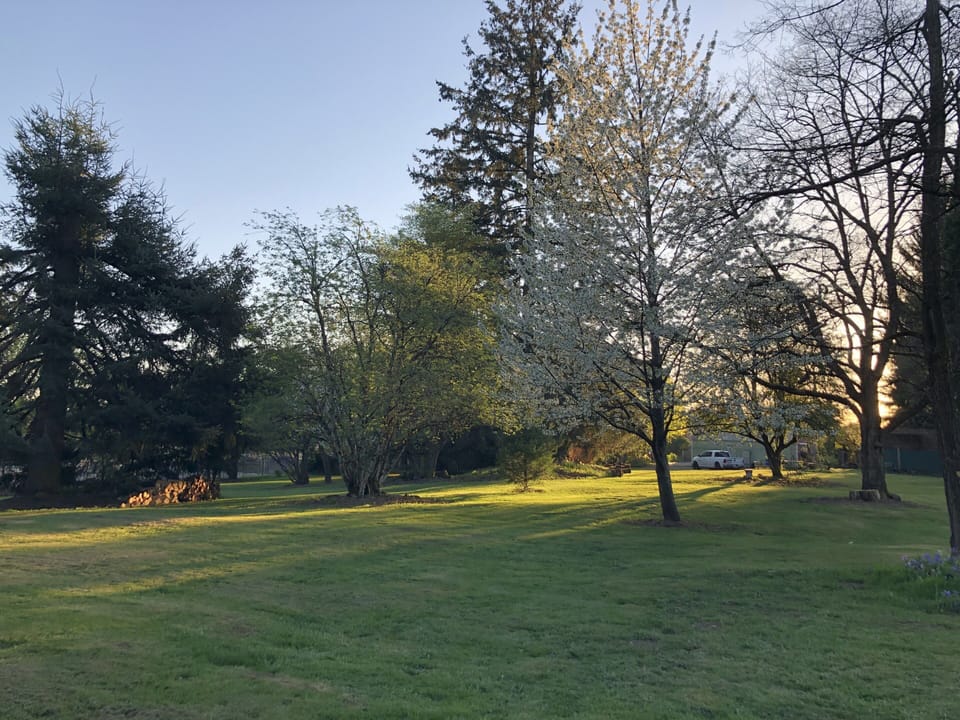 Photo from back of property thru the trees to the home.
