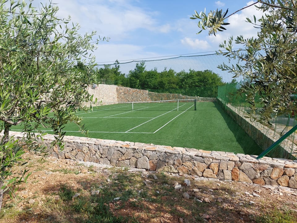 Sport court