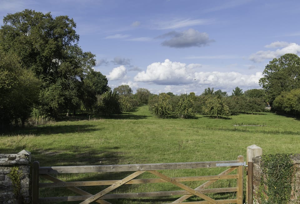 Views from the garden across to the orchard