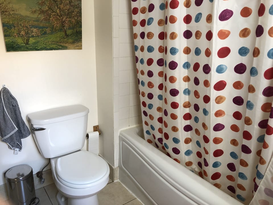 Bathroom 1. first floor.